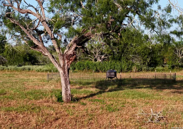 Photo 50 of Sale Pending at 9549 County Road 277, Gillett, TX 78116 | MLS# 2005676 | Listing updated on 2026-08-31