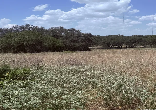 17th image of 313 Eagle Ridge Dr, Floresville, TX 78114 | MLS# 2005870