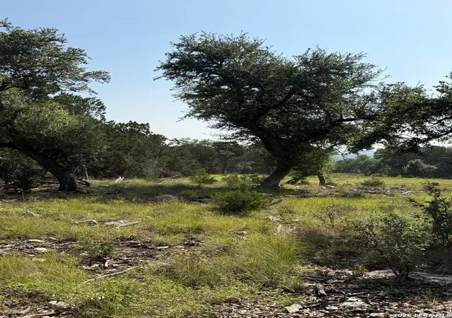 2nd image of 33 Sotol, Boerne, TX 78006 | MLS# 2005872
