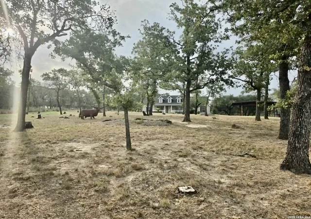 4th image of 123 Scenic Oak Dr, Floresville, TX 78114 | MLS# 2006164