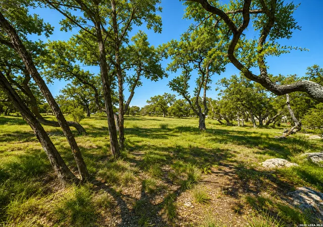 3rd image of 335 Serenity Pass, Spring Branch, TX 78070 | MLS# 2006495