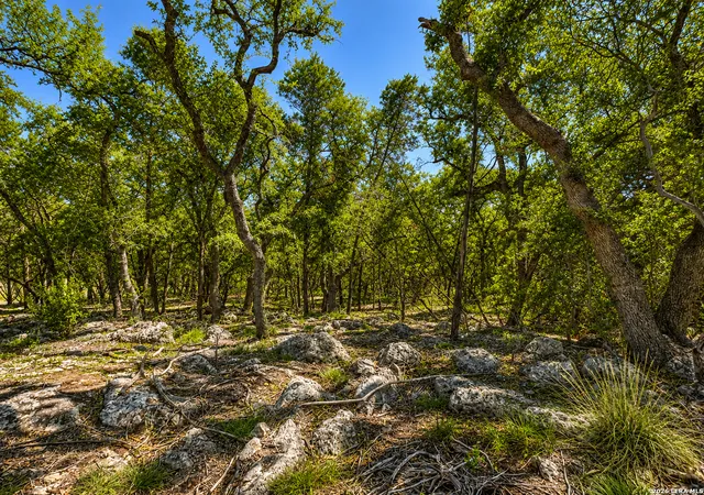 4th image of 335 Serenity Pass, Spring Branch, TX 78070 | MLS# 2006495