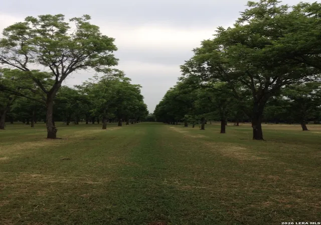 Photo 1 of Land for sale at Tbd May Road, Quemado, TX 78877 | MLS# 2006557 | Listing updated on 2026-08-17