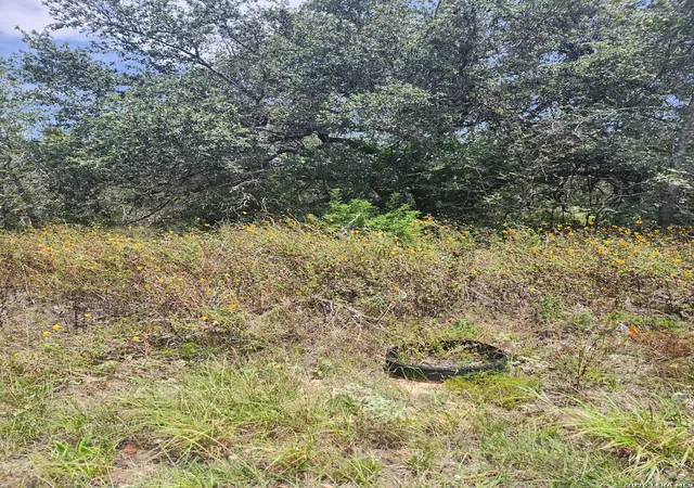 Photo 3 of Land for sale at 24114 Tumbleweed Ln, San Antonio, TX 78264 | MLS# 2006684 | Listing updated on 2026-09-16