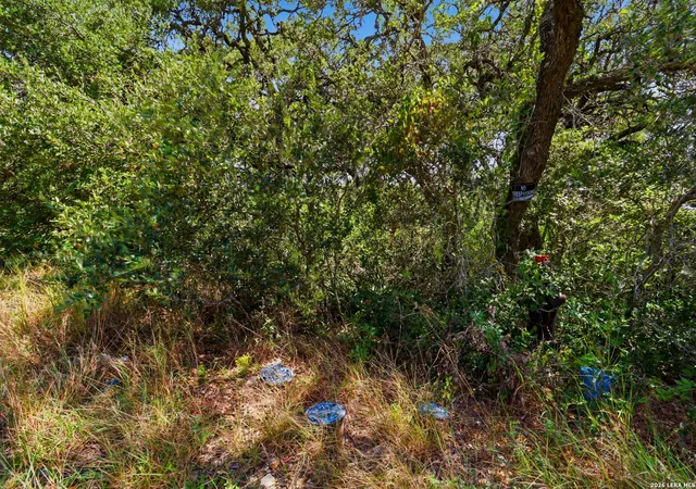 Photo 4 of Sale Pending at 20130 County Rd 174, Helotes, TX 78023 | MLS# 2006823 | Listing updated on 2026-08-14