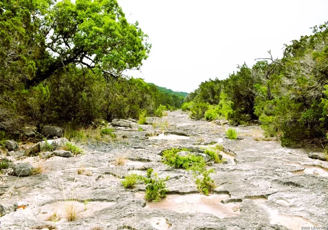 Photo 3 of Land for sale at Lot 51 Pr 2537, Mico, TX 78056 | MLS# 2006845 | Listing updated on 2026-08-07