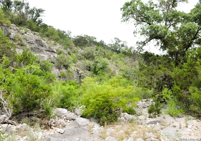 Photo 3 of Land for sale at Lot 51 Pr 2537, Mico, TX 78056 | MLS# 2006845 | Listing updated on 2026-08-07