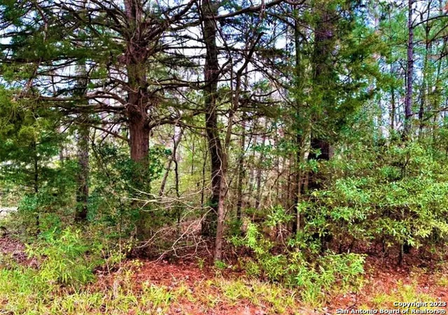 1st image of 00 Sir Robert Burns, Woodville, TX 75979 | MLS# 2006930
