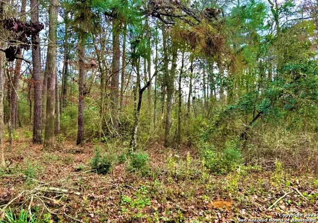 4th image of 00 Sir Robert Burns, Woodville, TX 75979 | MLS# 2006930