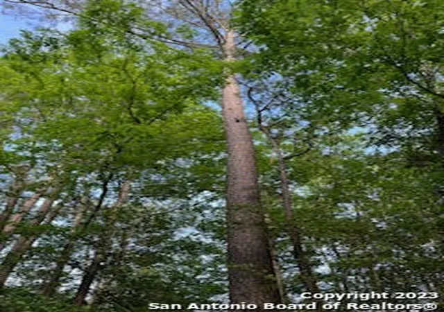5th image of 00 Sir Robert Burns, Woodville, TX 75979 | MLS# 2006930