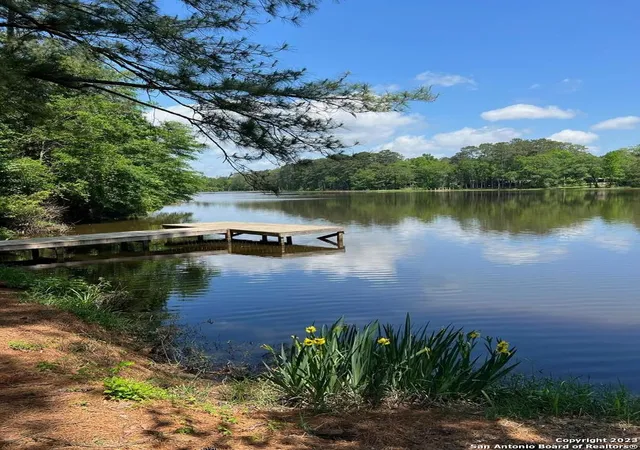 7th image of 00 Sir Robert Burns, Woodville, TX 75979 | MLS# 2006930