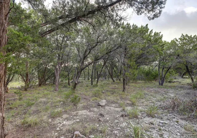 13th image of 11411 Anaqua Spgs, Boerne, TX 78006 | MLS# 2006956