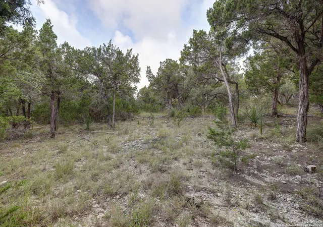 2nd image of 11411 Anaqua Spgs, Boerne, TX 78006 | MLS# 2006956