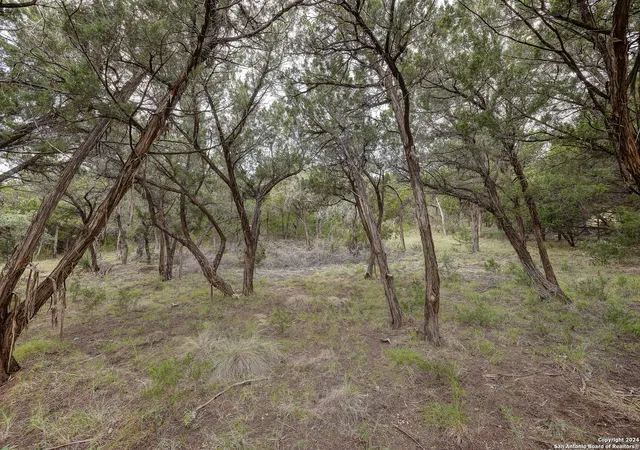 3rd image of 11411 Anaqua Spgs, Boerne, TX 78006 | MLS# 2006956