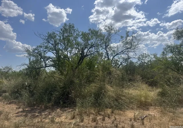 1st image of 000 Ave N, Christine, TX 78012 | MLS# 2007396