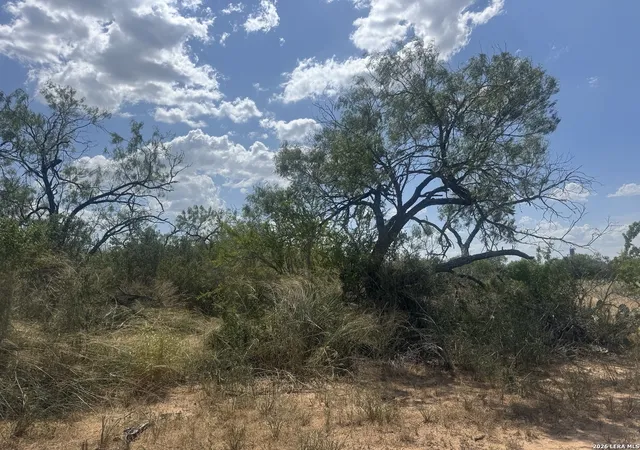 3rd image of 000 Ave N, Christine, TX 78012 | MLS# 2007396