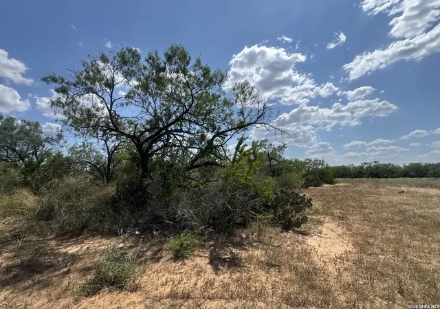 4th image of 000 Ave N, Christine, TX 78012 | MLS# 2007396