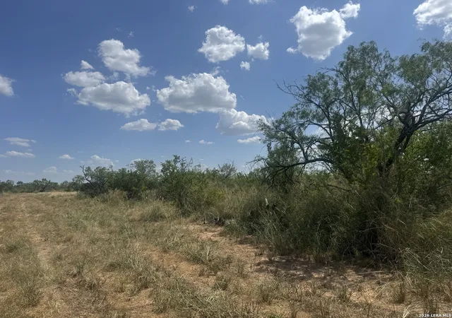 5th image of 000 Ave N, Christine, TX 78012 | MLS# 2007396
