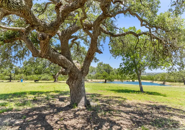 1st image of Tbd Lindeman Ln, Blanco, TX 78606 | MLS# 2007426