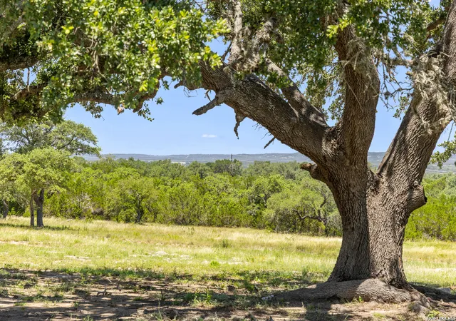 3rd image of Tbd Lindeman Ln, Blanco, TX 78606 | MLS# 2007426