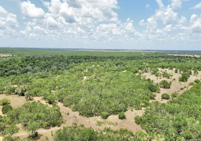 3rd image of 2452 Acres On Campbell Blvd, Campbellton, TX 78008 | MLS# 2007490