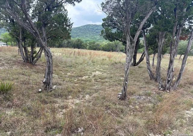 5th image of 595 Canyon Frst, Helotes, TX 78023 | MLS# 2007515