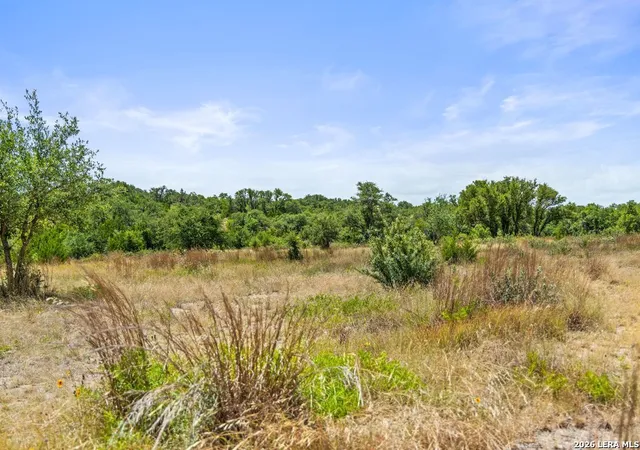 3rd image of 207 Verbena Ct, Johnson City, TX 78636 | MLS# 2007554