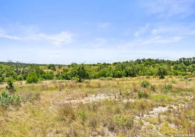 5th image of 207 Verbena Ct, Johnson City, TX 78636 | MLS# 2007554