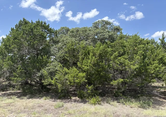 3rd image of 1405 Palomino, Bandera, TX 78003 | MLS# 2007680