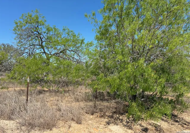 3rd image of 165 Bailee, Poteet, TX 78065 | MLS# 2007694