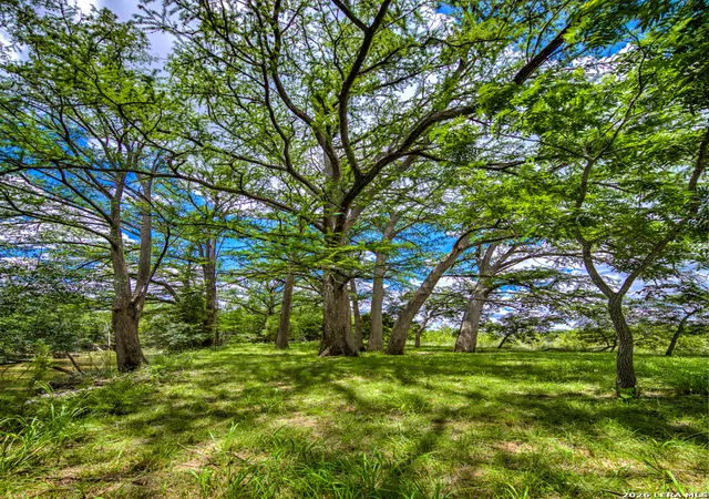 5th image of 751 Fm 337, Medina, TX 78055 | MLS# 2007695