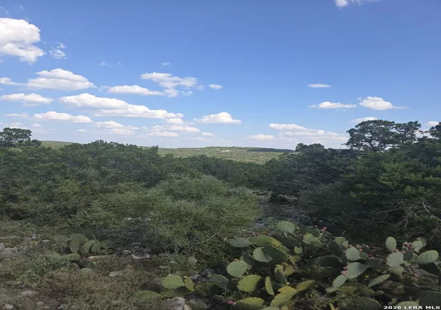 2nd image of 0 0, Hondo, TX 78861 | MLS# 2007739