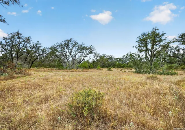 2nd image of 8651 W Fm 476, Poteet, TX 78065 | MLS# 2008052