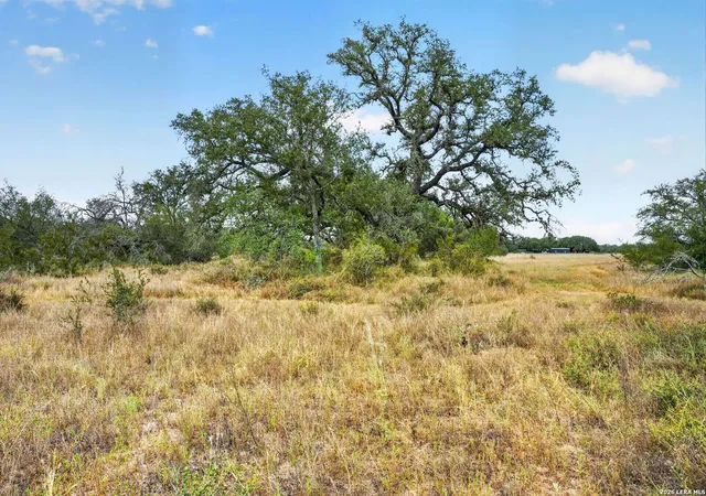 3rd image of 8651 W Fm 476, Poteet, TX 78065 | MLS# 2008052