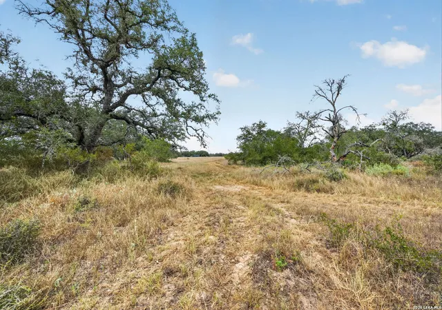 4th image of 8651 W Fm 476, Poteet, TX 78065 | MLS# 2008052