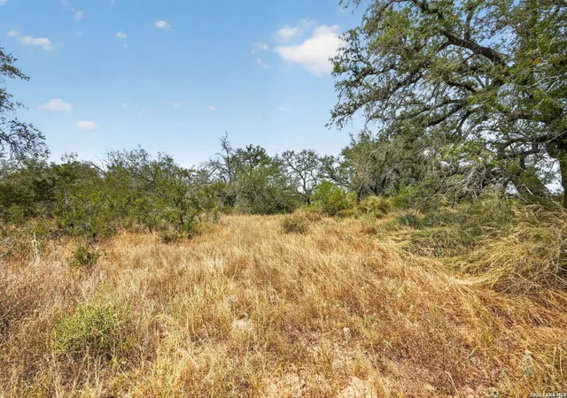 5th image of 8651 W Fm 476, Poteet, TX 78065 | MLS# 2008052