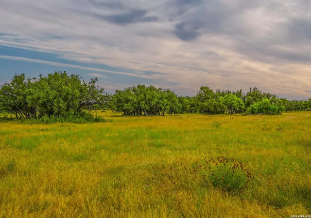 Photo 3 of Land for sale at 00 Treadwell Ln, Menard, TX 76859 | MLS# 2008293 | Listing updated on 2026-08-24