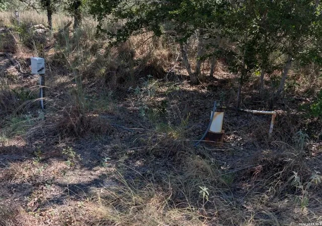 4th image of 2404 County Road 320, Floresville, TX 78114 | MLS# 2008298