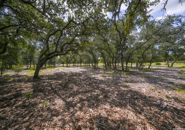 5th image of 3009 Wellesley Ky, Shavano Park, TX 78231 | MLS# 2008418