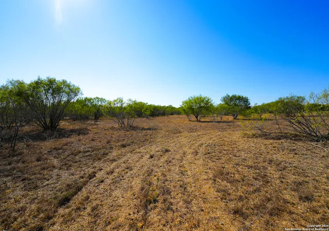 1st image of 315 Old Pleasanton Rd, San Antonio, TX 78264 | MLS# 2008493