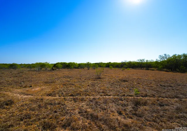 4th image of 315 Old Pleasanton Rd, San Antonio, TX 78264 | MLS# 2008493