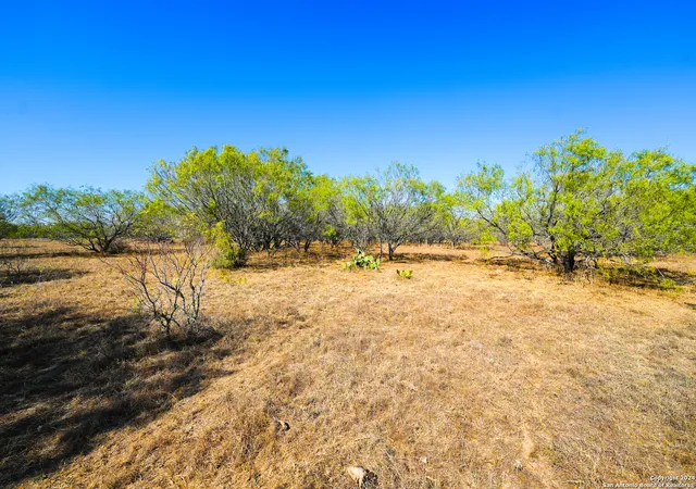 5th image of 315 Old Pleasanton Rd, San Antonio, TX 78264 | MLS# 2008493