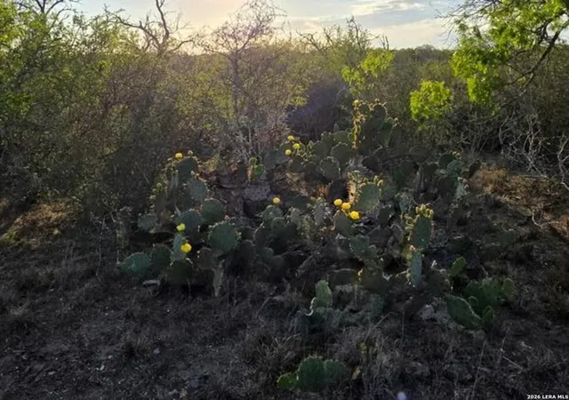 5th image of 4029 County Road 117, Floresville, TX 78114 | MLS# 2008579
