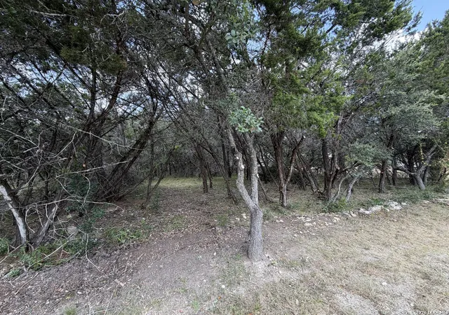 Photo 2 of Land for sale at 180 Rosenberry, Bulverde, TX 78163 | MLS# 2008729 | Listing updated on 2026-08-25