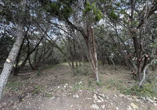 Photo 3 of Land for sale at 180 Rosenberry, Bulverde, TX 78163 | MLS# 2008729 | Listing updated on 2026-08-25