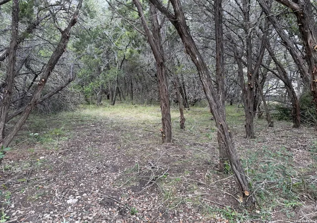 Photo 3 of Land for sale at 180 Rosenberry, Bulverde, TX 78163 | MLS# 2008729 | Listing updated on 2026-10-09