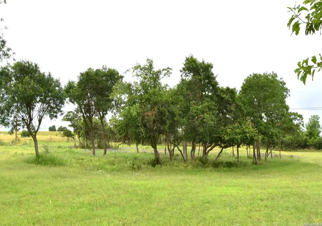 34th image of 8400 Maner Road, Harper, TX 78631 | MLS# 2008813