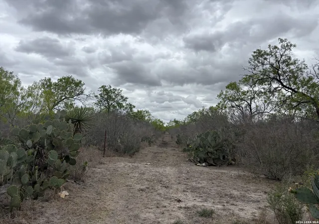 Photo 2 of Land for sale at 1460 County Road 193, Karnes City, TX 78118 | MLS# 2008828 | Listing updated on 2026-08-25