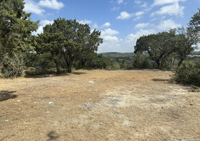 3rd image of Lot 33 Park Grove, Spring Branch, TX 78070 | MLS# 2008999