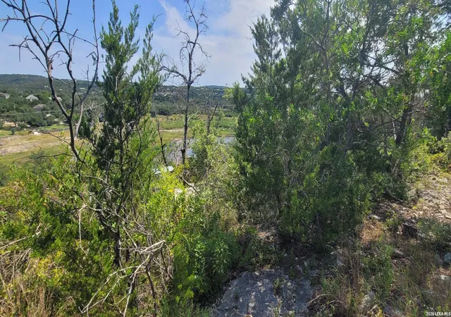 4th image of Lot 33 Park Grove, Spring Branch, TX 78070 | MLS# 2008999